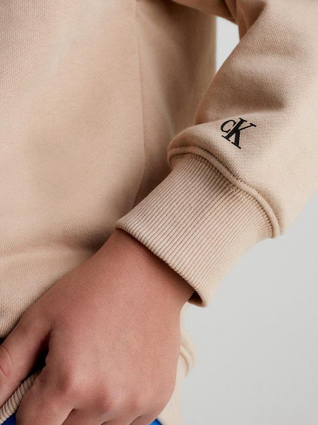 Brown Calvin Klein Organic Cotton Logo Boys's Hoodie | WKFQ-38297