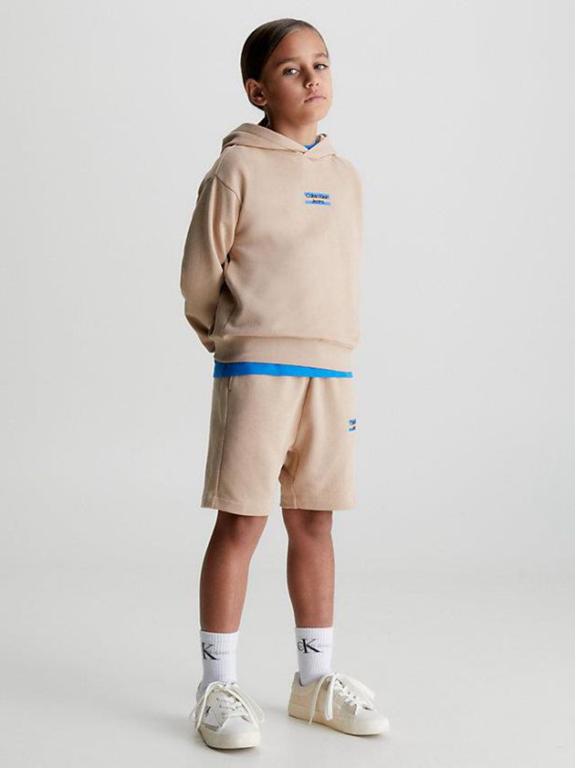 Brown Calvin Klein Organic Cotton Logo Boys's Hoodie | WKFQ-38297