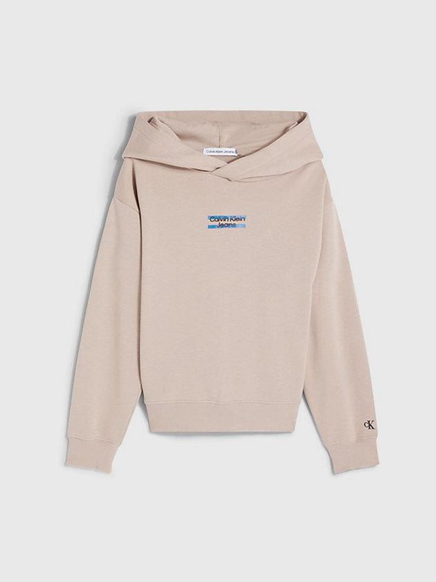 Brown Calvin Klein Organic Cotton Logo Boys's Hoodie | WKFQ-38297