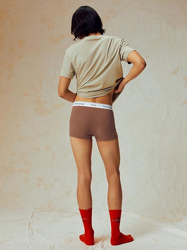 Brown Calvin Klein Pride Men Briefs | RXTC-14032