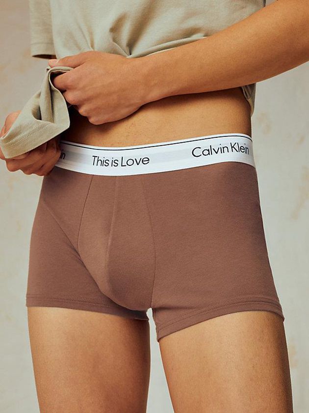 Brown Calvin Klein Pride Men Briefs | RXTC-14032