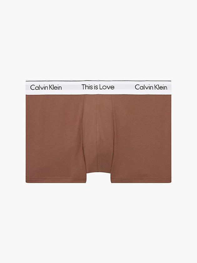 Brown Calvin Klein Pride Men Briefs | RXTC-14032