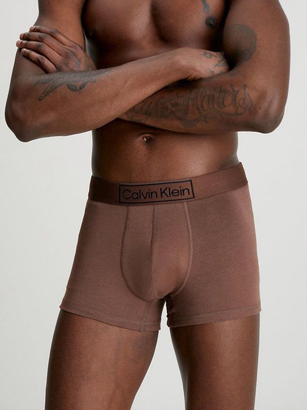 Brown Calvin Klein Reimagined Heritage Men Briefs | TUSL-59804