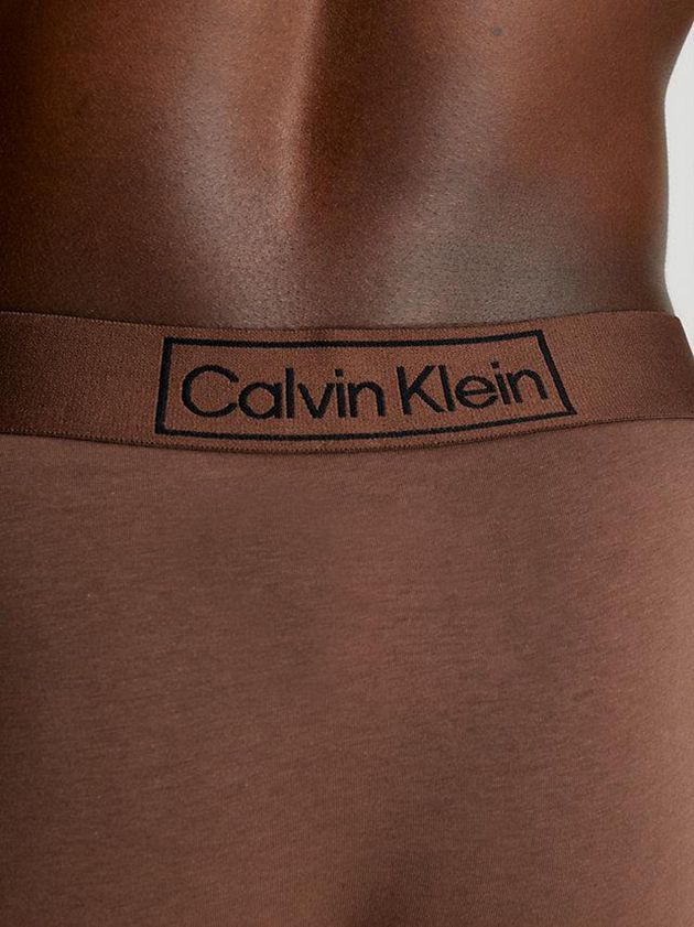 Brown Calvin Klein Reimagined Heritage Men Briefs | TUSL-59804