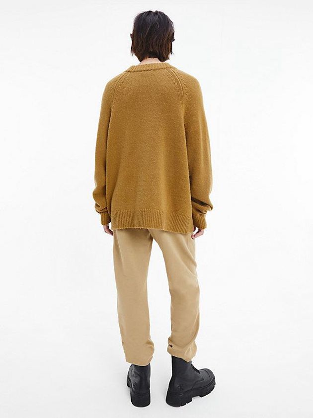 Brown Calvin Klein Unisex Wool Blend Jumper - CK Standards Men Sweater | HXTM-07298