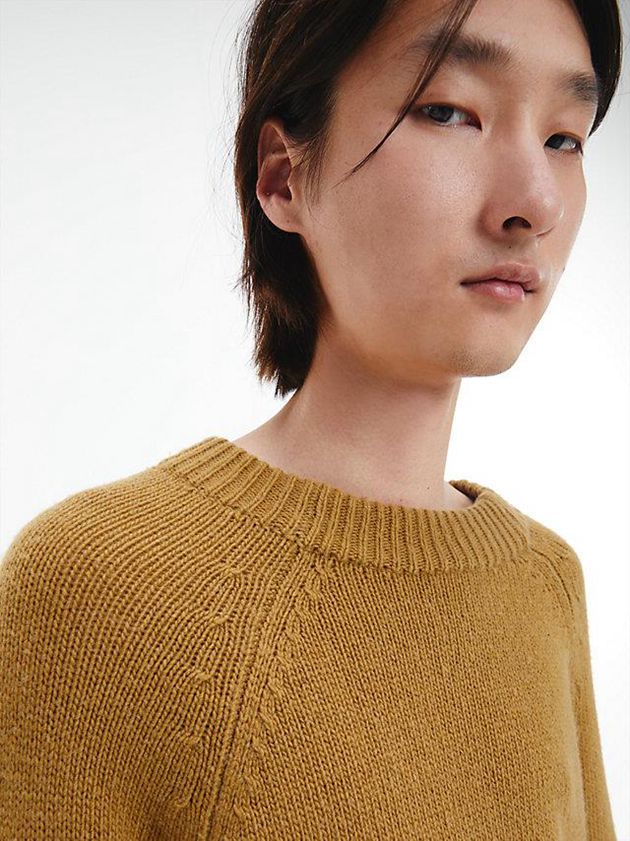 Brown Calvin Klein Unisex Wool Blend Jumper - CK Standards Men Sweater | HXTM-07298