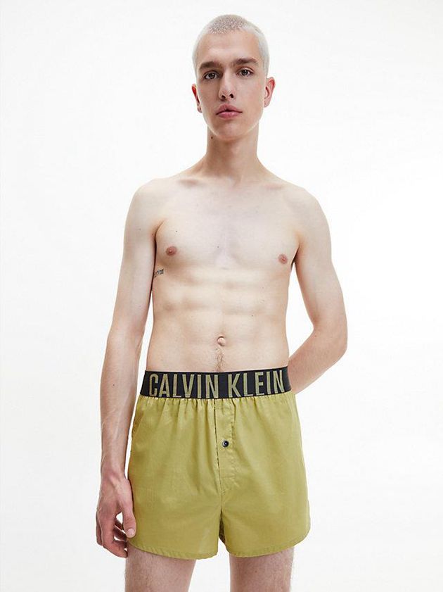 Green Calvin Klein 2 Pack Slim Fit Boxers - Intense Power Men Briefs | NIEZ-30956
