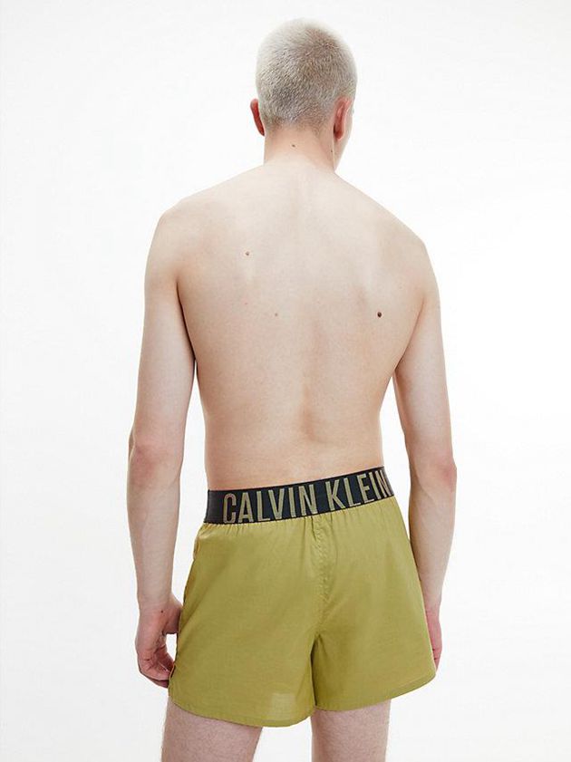 Green Calvin Klein 2 Pack Slim Fit Boxers - Intense Power Men Briefs | NIEZ-30956