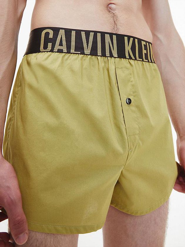 Green Calvin Klein 2 Pack Slim Fit Boxers - Intense Power Men Briefs | NIEZ-30956