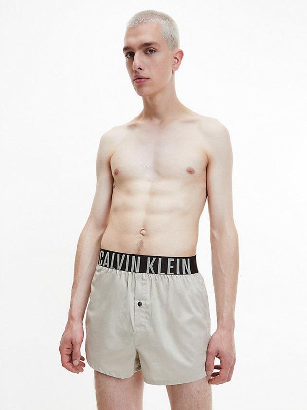 Green Calvin Klein 2 Pack Slim Fit Boxers - Intense Power Men Briefs | NIEZ-30956