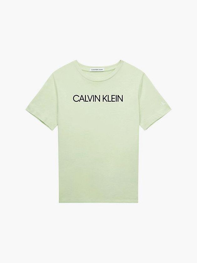 Green Calvin Klein Organic Cotton Logo Girls's T-Shirt | SWVJ-54921