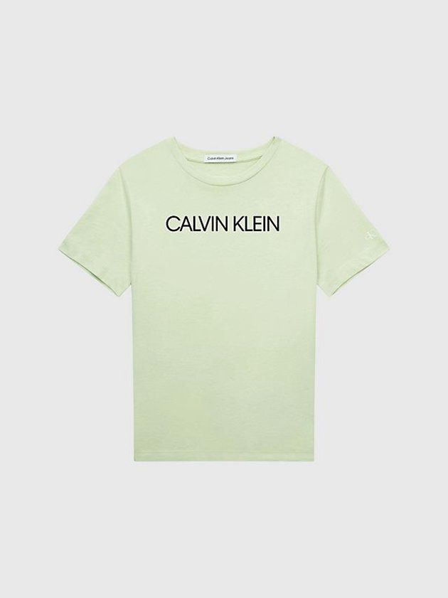 Green Calvin Klein Organic Cotton Logo Girls's T-Shirt | SWVJ-54921