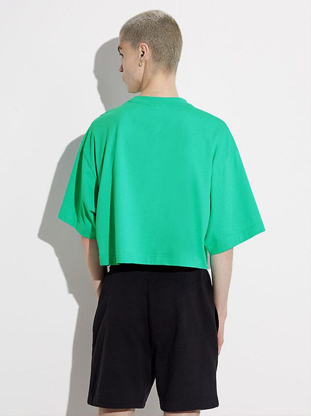 Green Calvin Klein Oversized Cropped - Pride Men T-Shirt | DYZT-72356