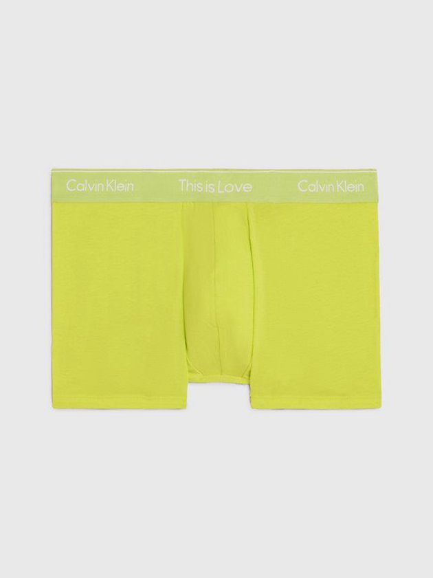 Green Calvin Klein Pride Men Briefs | UMTO-73245