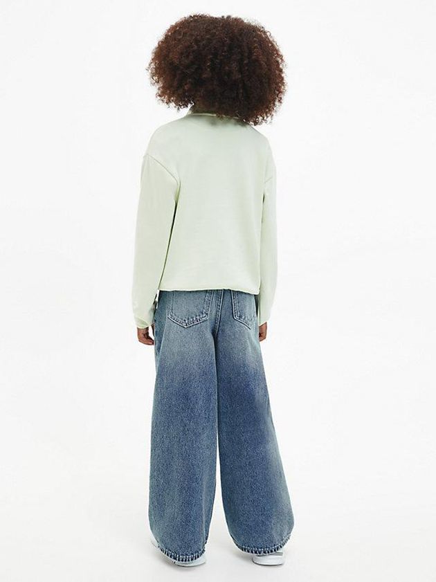 Green Calvin Klein Unisex Relaxed Zip Neck Girls's Sweatshirt | KHMN-01792