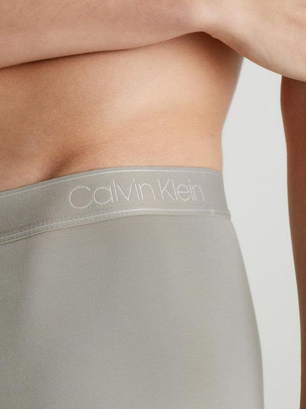 Grey Calvin Klein Essential Calvin Men Briefs | ZFCB-85169