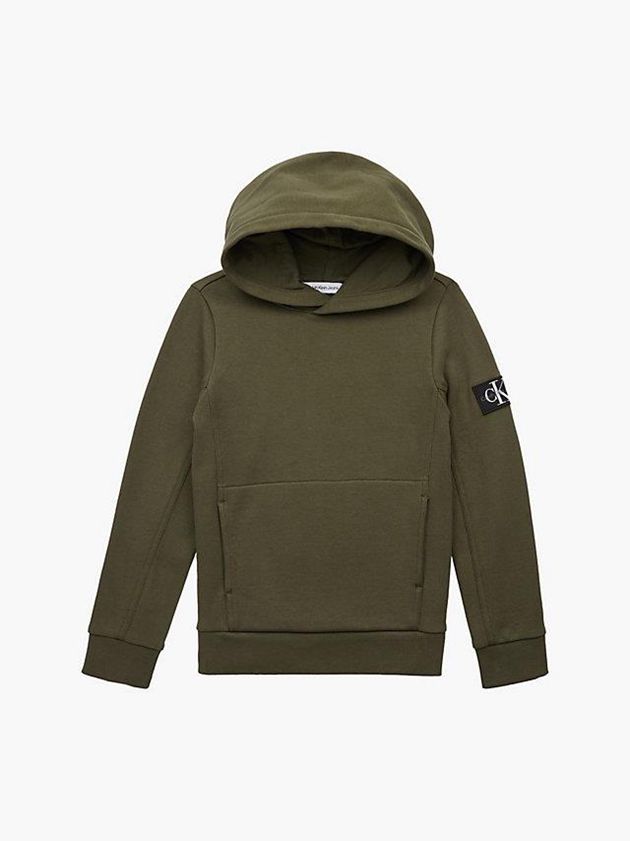 Olive Calvin Klein Peached Terry Boys's Hoodie | IASV-68470