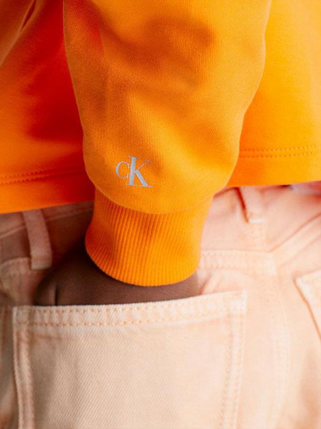 Orange Calvin Klein Layered Back Girls's Hoodie | TPRY-90837