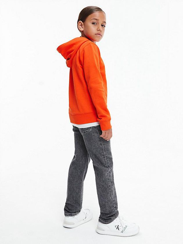 Orange Calvin Klein Organic Cotton Boys's Hoodie | WAEO-56973