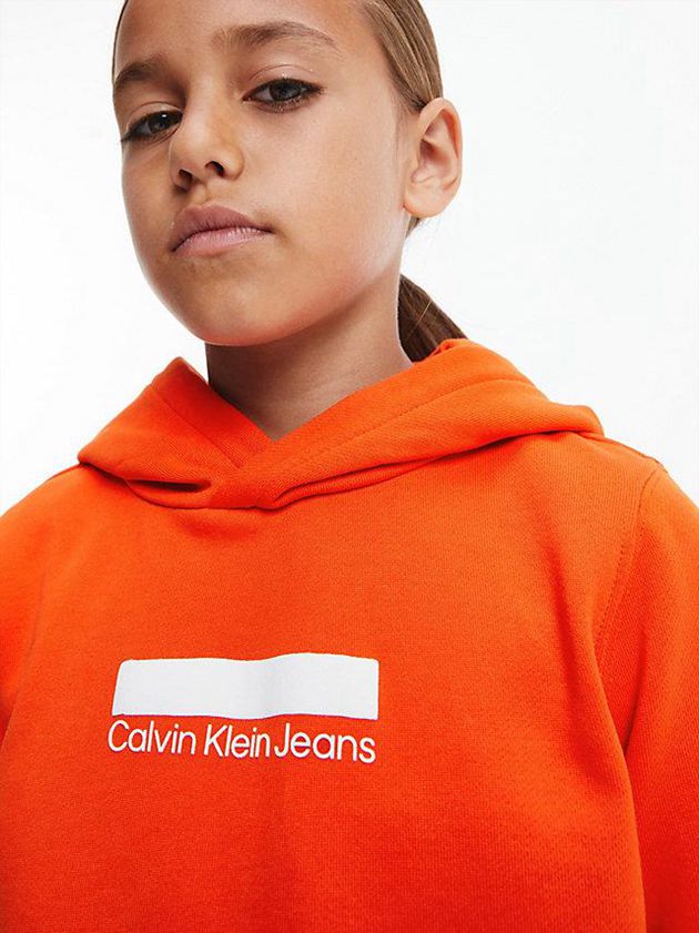 Orange Calvin Klein Organic Cotton Boys's Hoodie | WAEO-56973