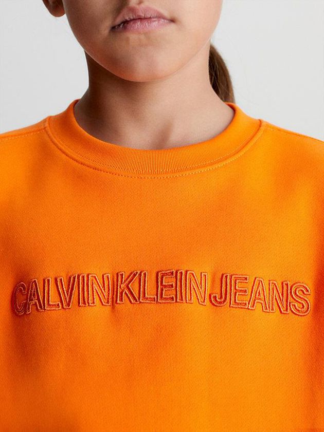 Orange Calvin Klein Relaxed Logo Boys's Sweatshirt | WVQT-43196
