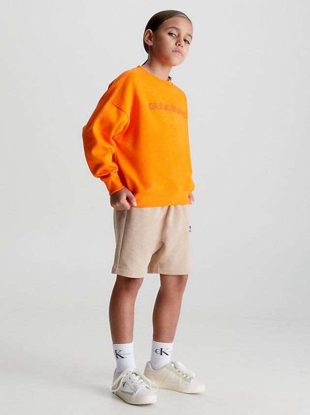 Orange Calvin Klein Relaxed Logo Boys's Sweatshirt | WVQT-43196