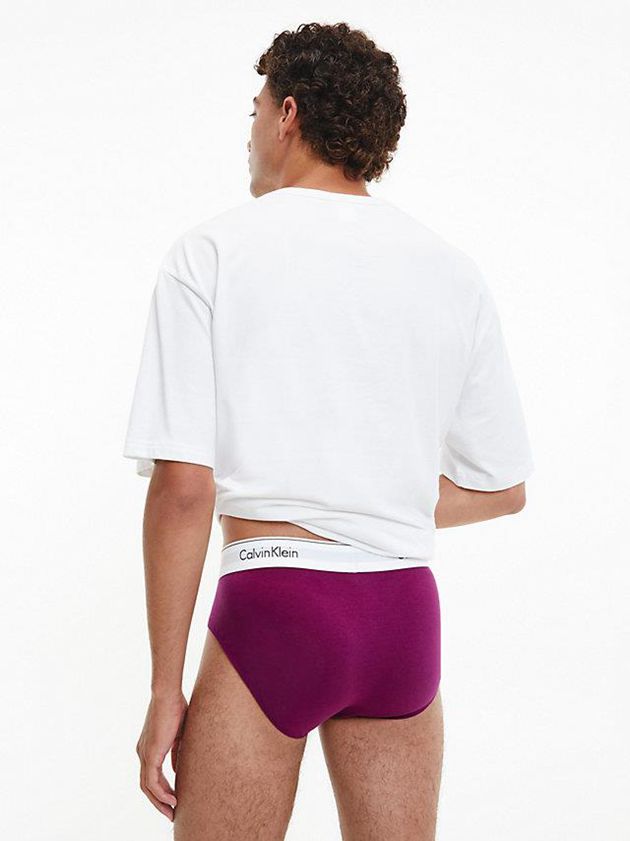 Purple Calvin Klein 3 Pack - Modern Cotton Men Briefs | AIZY-36521