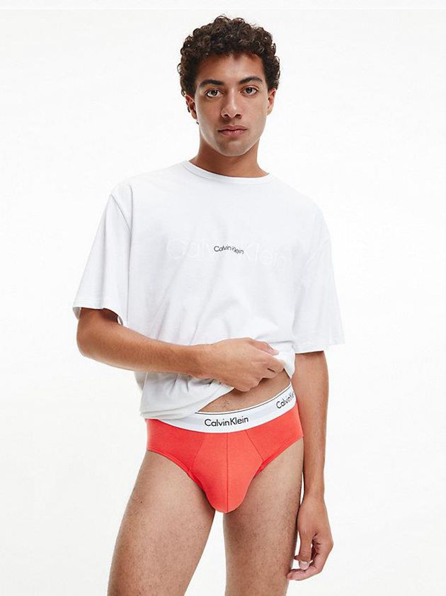 Purple Calvin Klein 3 Pack - Modern Cotton Men Briefs | AIZY-36521