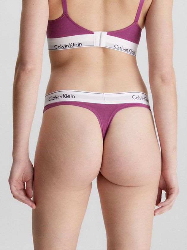 Purple Calvin Klein Modern Cotton Women Thong | FOMD-80937