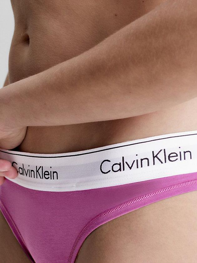 Purple Calvin Klein Modern Cotton Women Thong | FOMD-80937