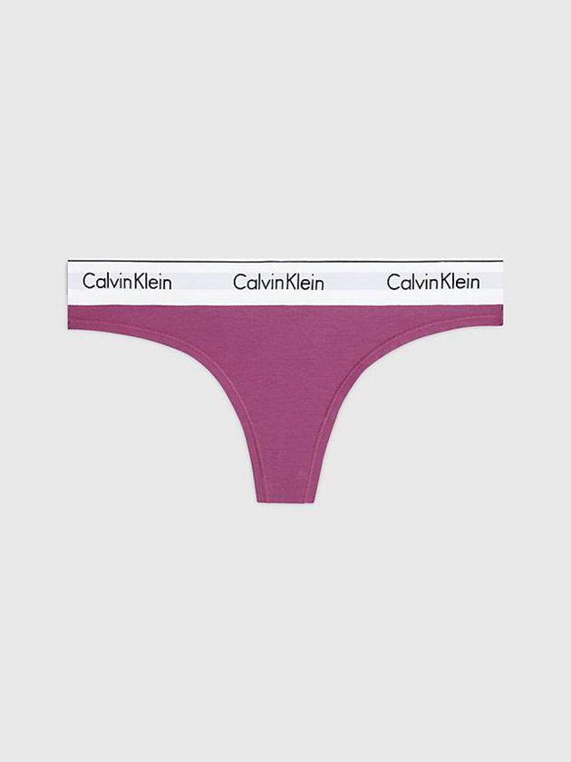 Purple Calvin Klein Modern Cotton Women Thong | FOMD-80937
