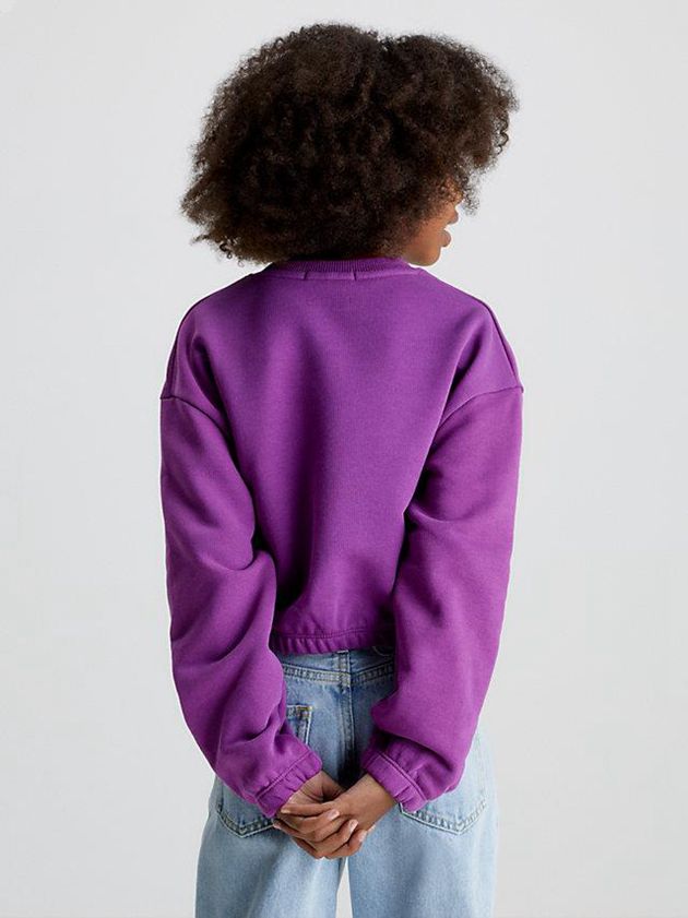 Purple Calvin Klein Relaxed Logo Girls's Sweatshirt | YRCA-47852