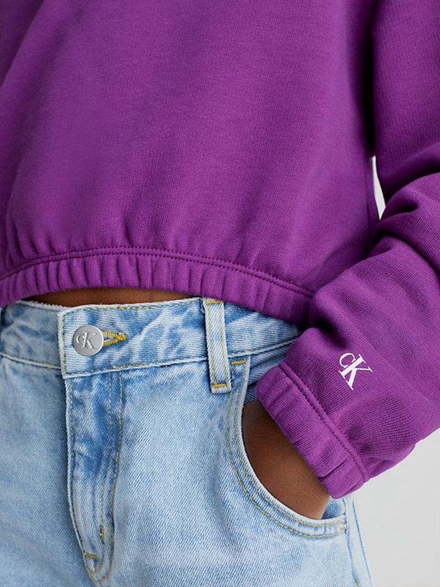 Purple Calvin Klein Relaxed Logo Girls's Sweatshirt | YRCA-47852