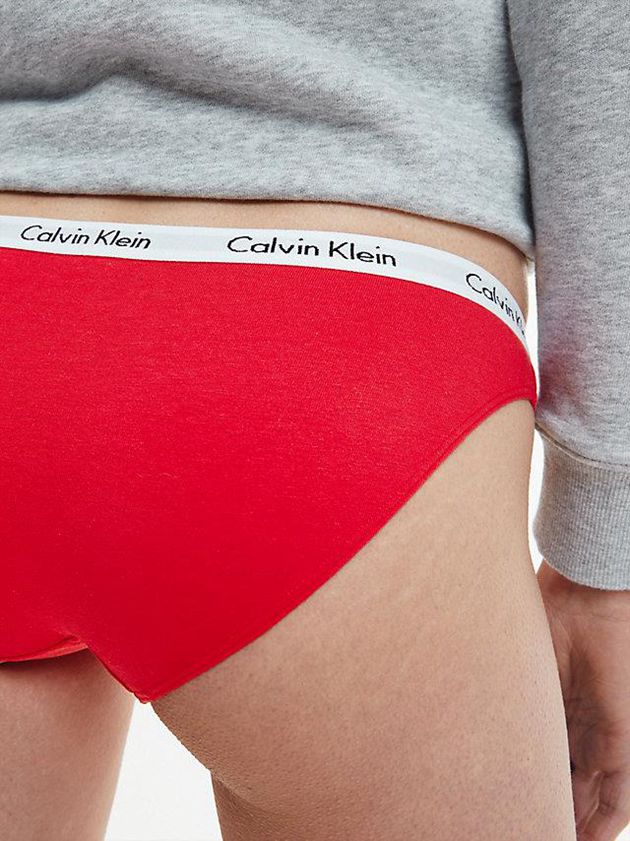 Red Calvin Klein Bikini - Carousel Women Briefs | VMXJ-67145