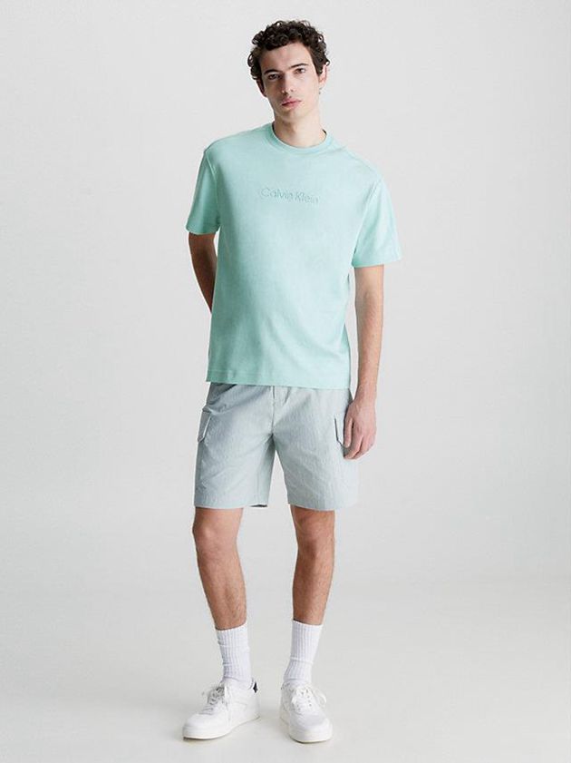 Turquoise Calvin Klein Organic Cotton Men T-Shirt | KCSP-46053