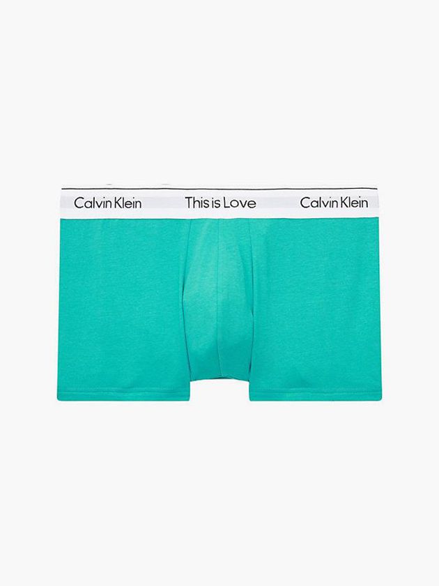 Turquoise Calvin Klein Pride Men Briefs | QRLT-71903